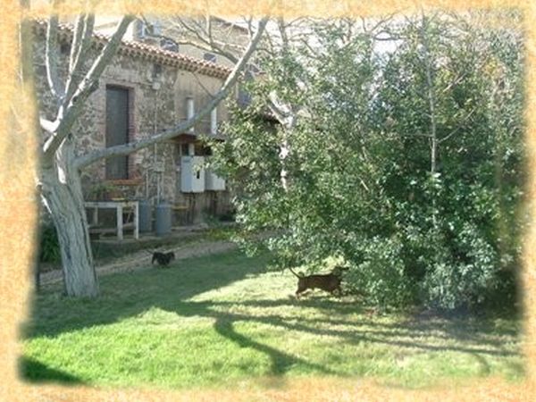 Agriturismo il Giglio - foto 6372.jpg