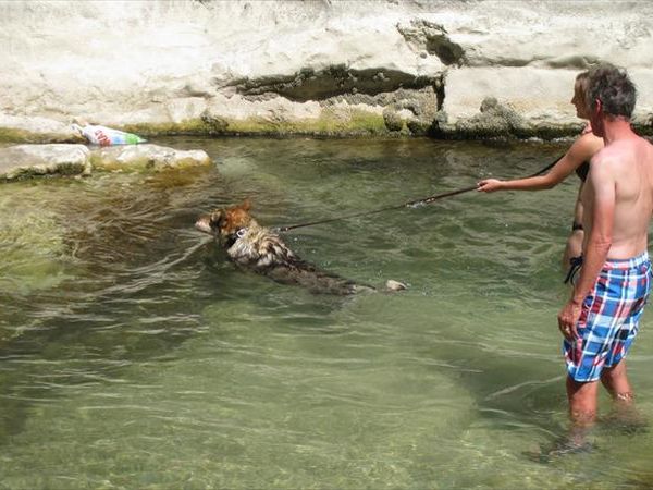 Agriturismo Il Fienile di C Battista - foto 24063.jpg