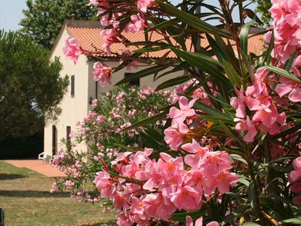 Azienda Agrituristica Allumiere - foto 24181.jpg