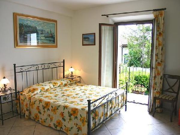 Uliveto dellElefante - foto 24187.jpg