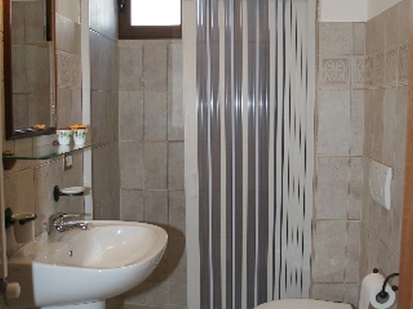 Uliveto dellElefante - foto 24188.jpg