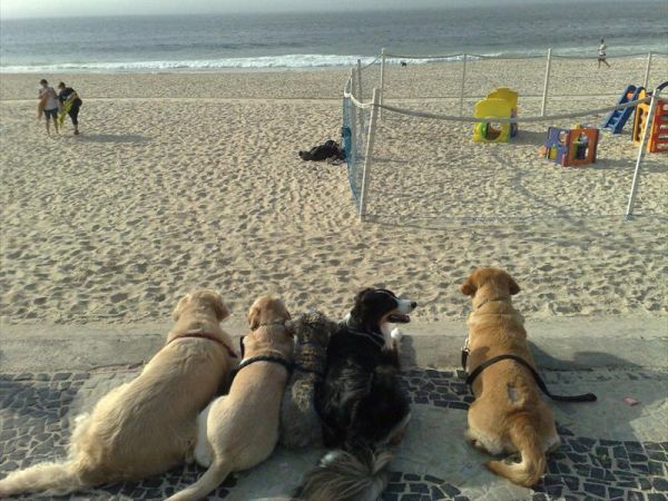 Hotel La Tavernetta - foto 24230.jpg