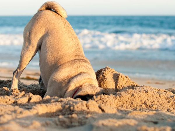 Hotel La Tavernetta - foto 24231.jpg