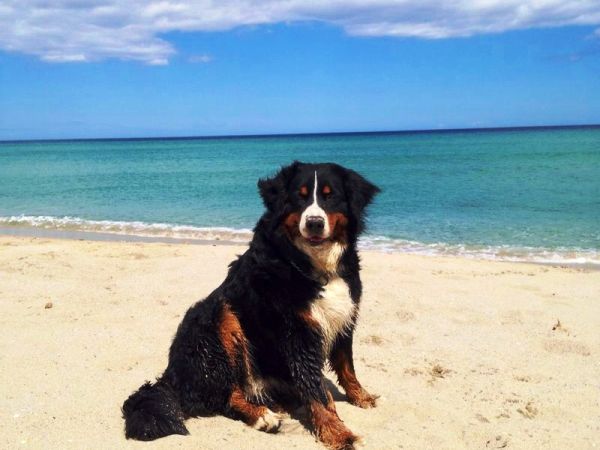 Camping Ermosa - foto 24292.jpg