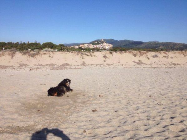 Camping Ermosa - foto 24297.jpg