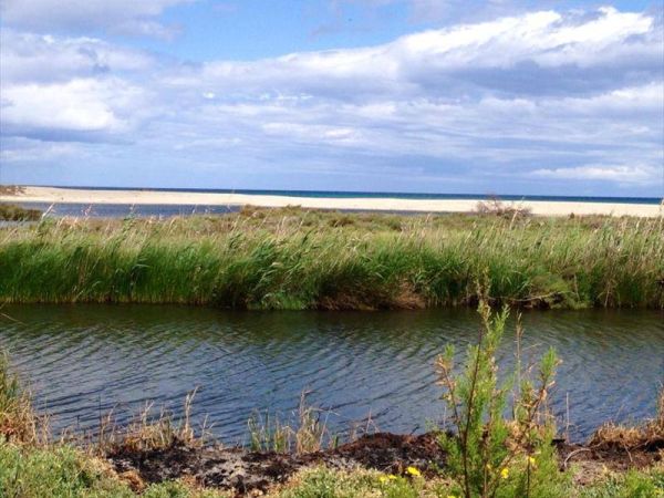 Camping Ermosa - foto 24302.jpg