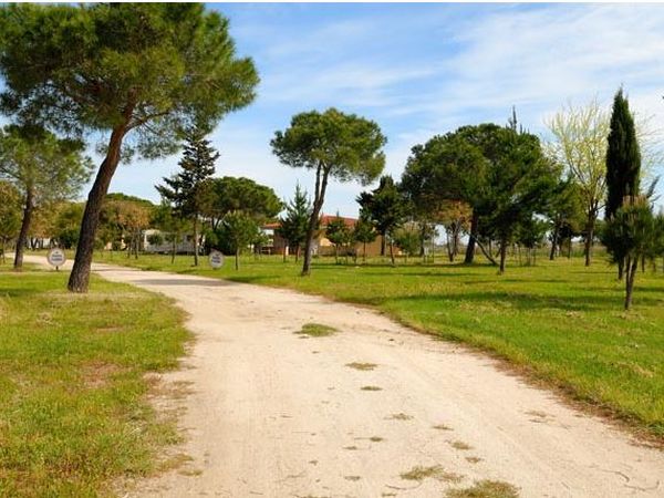 Camping Ermosa - foto 24305.jpg