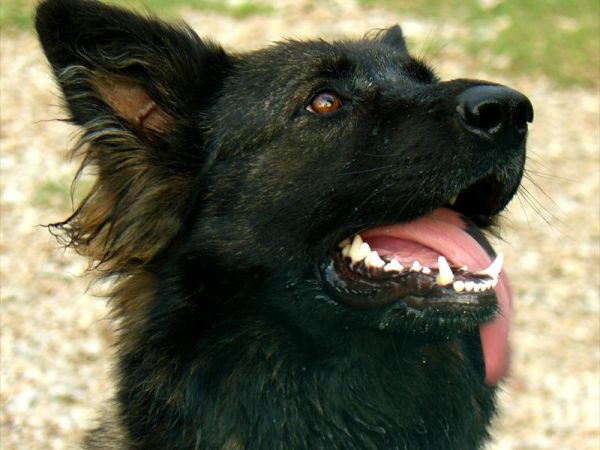 La Locanda del Minatore - foto 24350.jpg