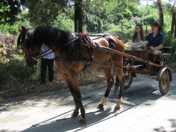 La Locanda del Minatore - foto 24351.jpg