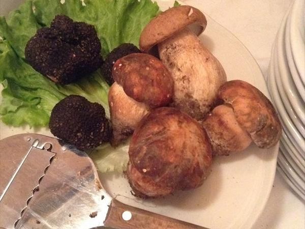 Trattoria Toscana - foto 24387.jpg