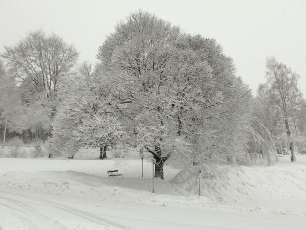 Park Camping Nevegal - foto 24417.jpg