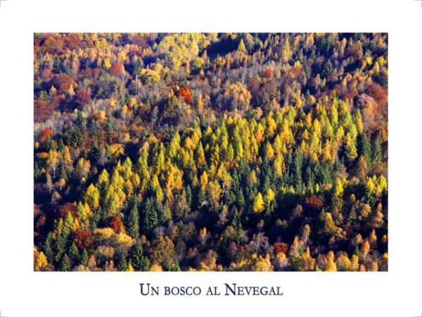 Park Camping Nevegal - foto 24429.jpg