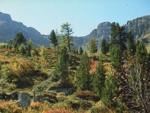 Park Camping Nevegal - foto 24431.jpg