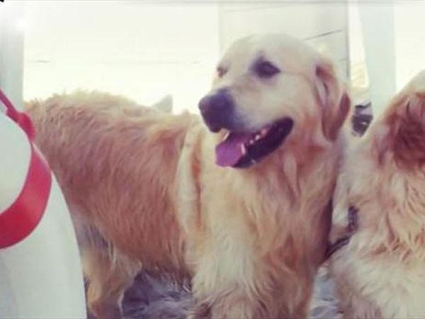 Spiaggia dellAmarissimo  - foto 24472.jpg