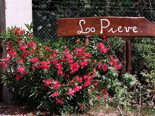 Agriturismo La Pieve - foto 24683.jpg