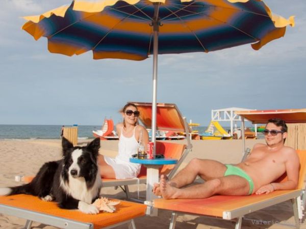 Rimini Dog No Problem - Bagno 81 Rimini - foto 24715.jpg