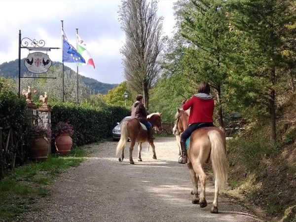 B&B Podere Cerreta - foto 24738.jpg