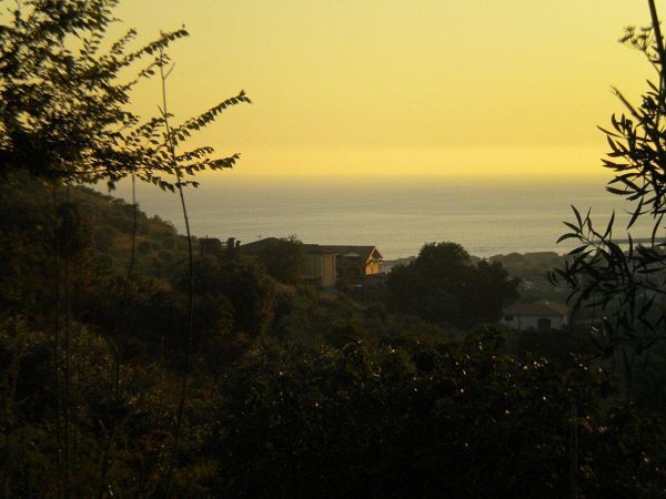 Thats Amore Cilento Country House - foto 6546.jpg