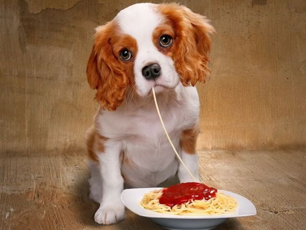 Albergo Rond - foto 24799.jpg