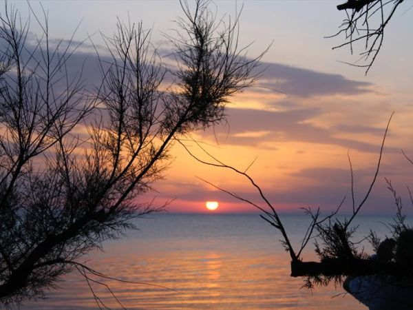 Camping La Vecchia Torre - foto 24809.jpg