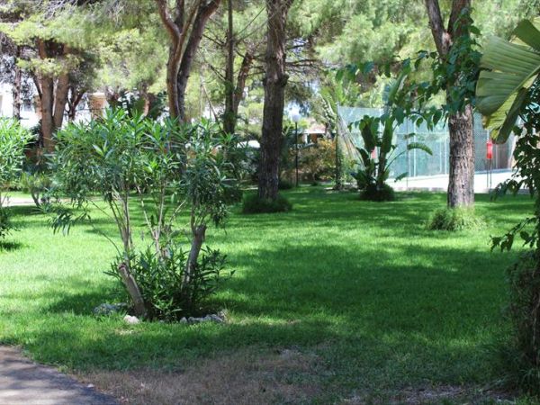 Camping La Vecchia Torre - foto 24810.jpg