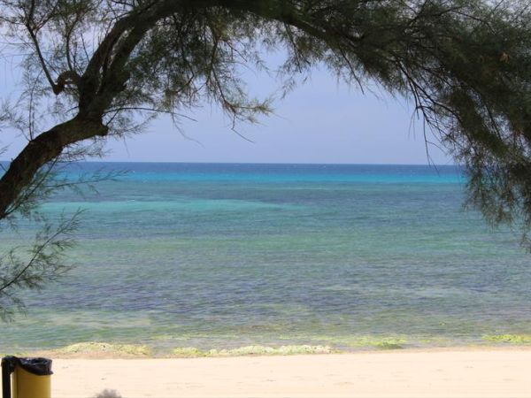Camping La Vecchia Torre - foto 24811.jpg
