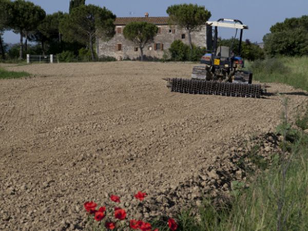 Agriturismo Il Molinello - foto 24910.jpg