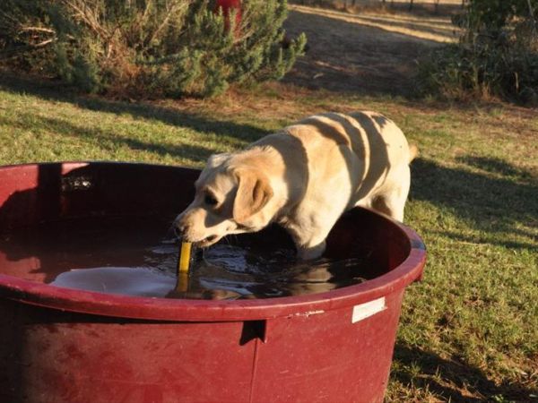 Agriturismo Il Molinello - foto 24916.jpg