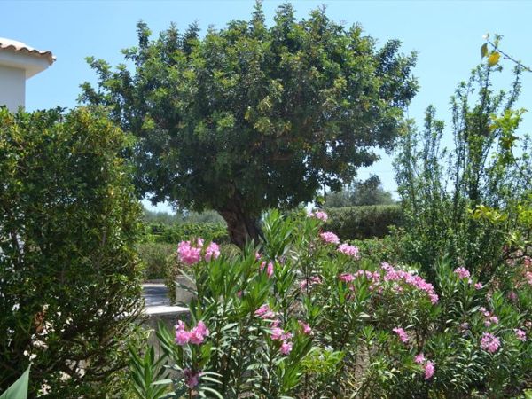 Casa del Carrubo e Casa degli Ulivi - foto 24939.jpg