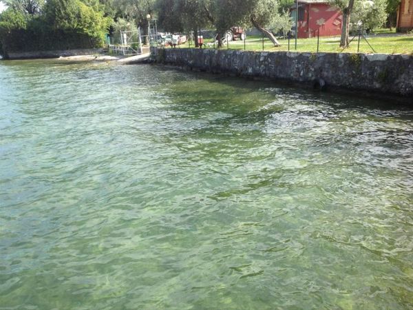 Campeggio Olivella - foto 24959.jpg