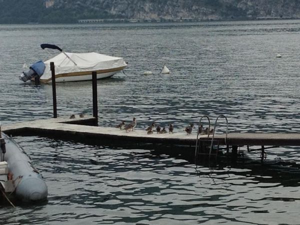 Campeggio Olivella - foto 24962.jpg