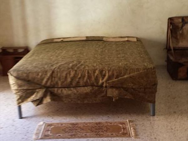 Uliveto dellElefante - foto 25282.jpg