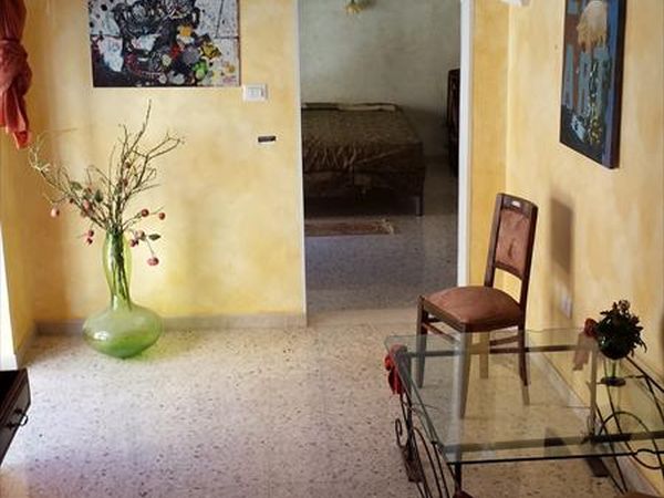 Uliveto dellElefante - foto 25284.jpg