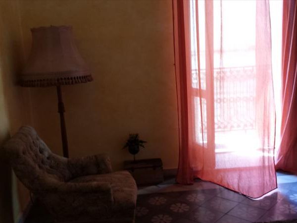 Uliveto dellElefante - foto 25290.jpg