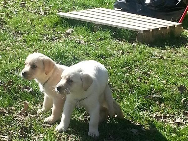 Agriturismo Ferramosca - foto 25575.jpg