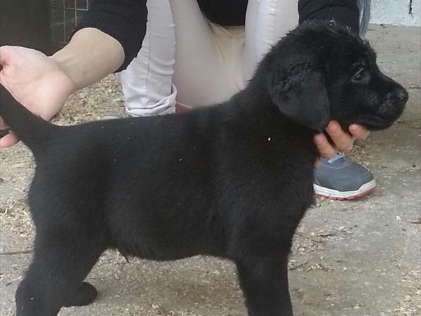 Agriturismo Ferramosca - foto 25576.jpg