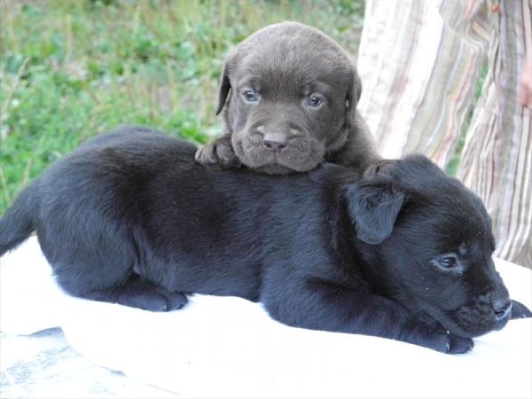 Agriturismo Ferramosca - foto 25606.jpg