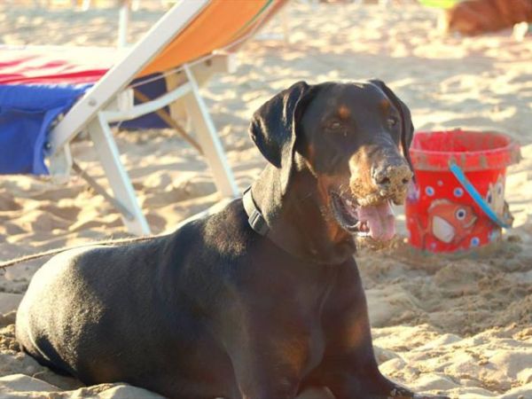 Agenzia Turistica MC - foto 25857.jpg