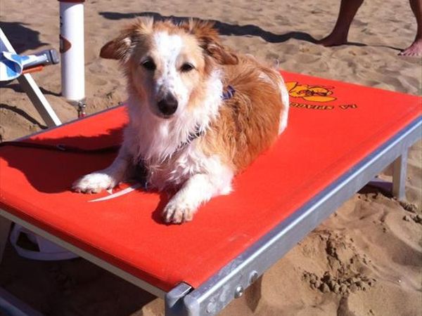 Agenzia Turistica MC - foto 25858.jpg