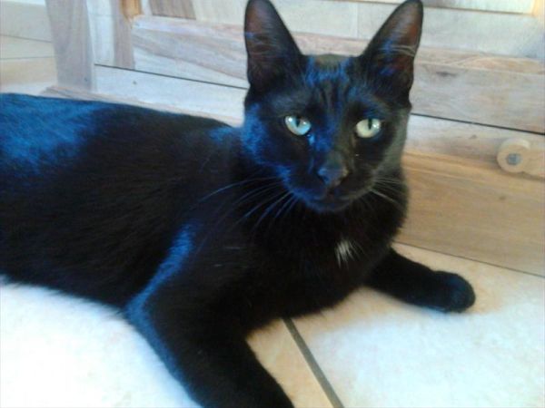 Agenzia Turistica MC - foto 25860.jpg