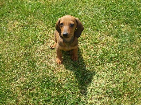 Agenzia Turistica MC - foto 25868.jpg