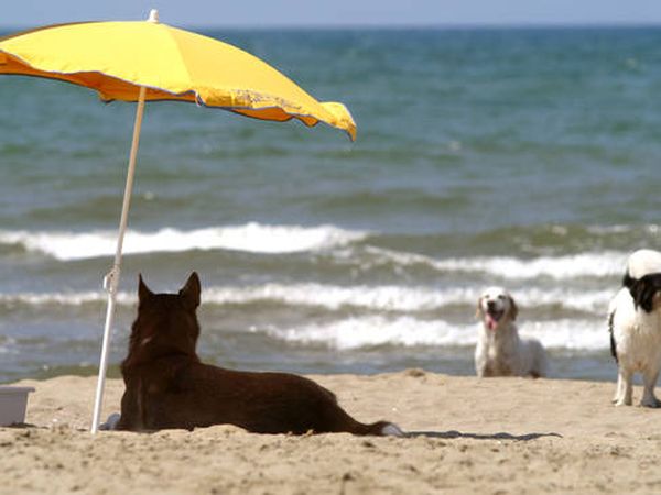 Agenzia Turistica MC - foto 25892.jpg