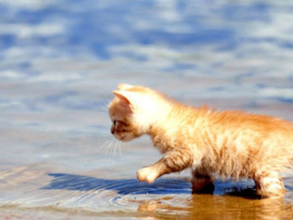 Agenzia Turistica MC - foto 25899.jpg