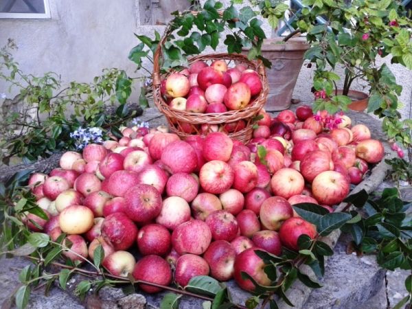 Agriturismo Borgo Spante - foto 26043.jpg