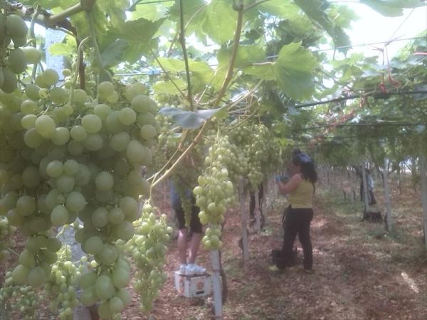 a San Domenico - Appartamenti B&B - foto 26067.jpg