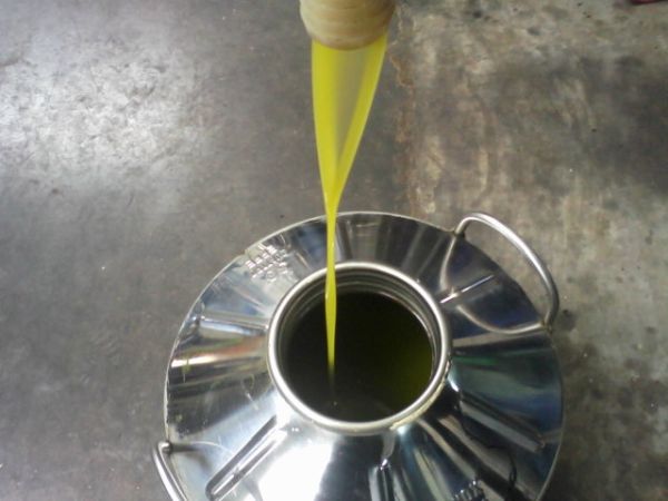 a San Domenico - Appartamenti B&B - foto 26073.jpg