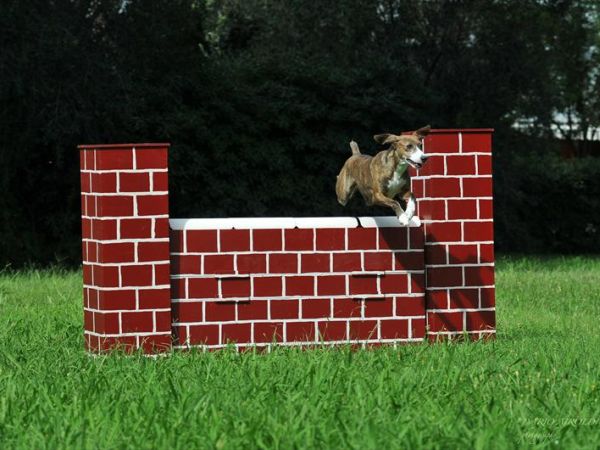 Le Corti di Montepitti - foto 26088.jpg