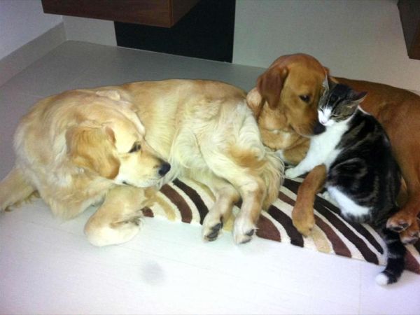 NIRVANA Club Village - foto 26118.jpg