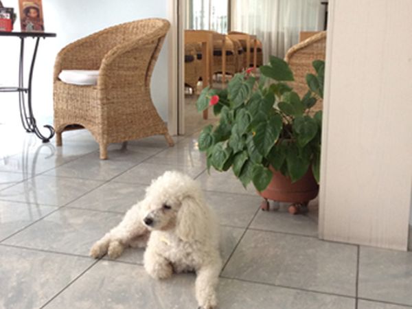 Hotel Villa Mare - foto 26138.jpg