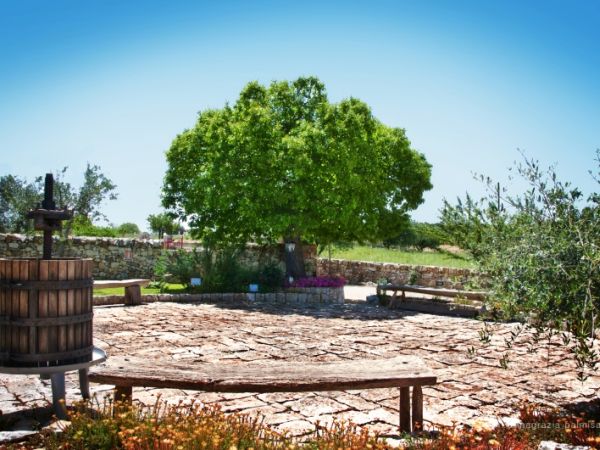 Trulli il Castagno - foto 26243.jpg